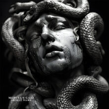 Medusa’s Gaze Cover art for sale