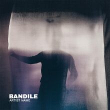 Bandile Cover art for sale