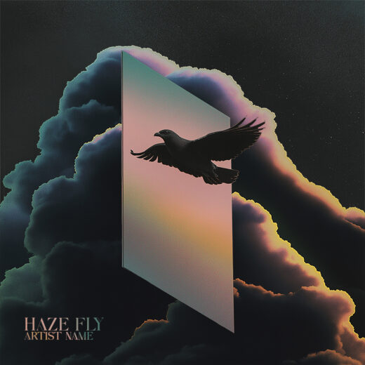 Haze fly cover art for sale